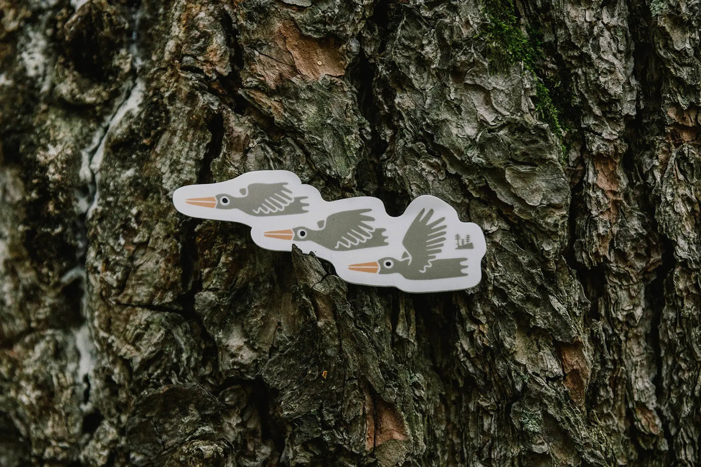 Migration Sticker